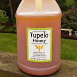 Tupelo Honey 1 gallon