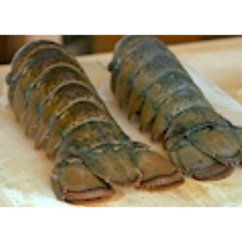 Medium Lobster Tails 6-7 oz