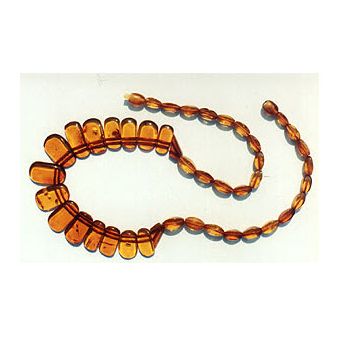 Amber Necklace 