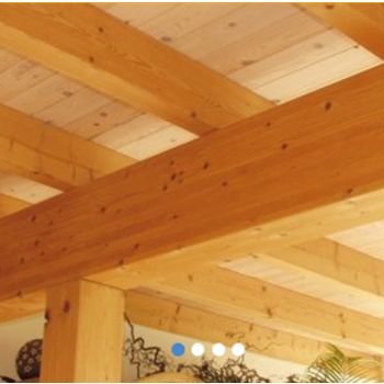 GLUED LAMINATED TIMBER (glulam)  