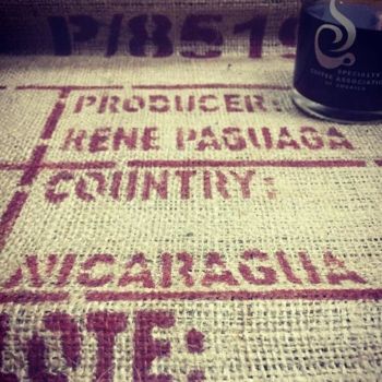 LAS BRUMAS CATURRA WASHED - GREEN / RAW / UNROASTED COFFEE