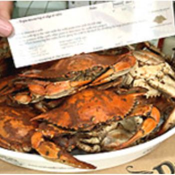 Regular Female Hard Crabs