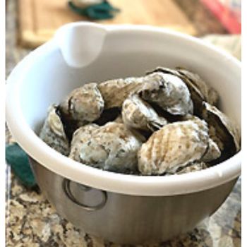 Oysters in the Shell