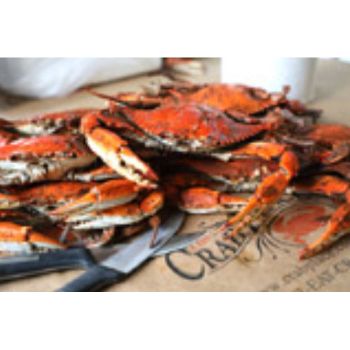 Standard Male Hard Crabs