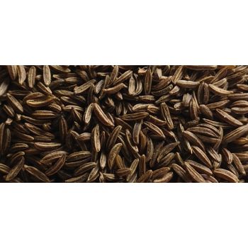 Caraway Seeds