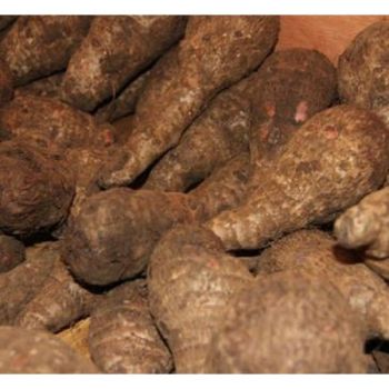 Cocoyam, 3.2 Eur / kg