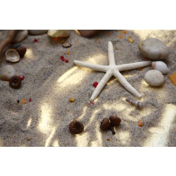 Educational Light Play Table Set